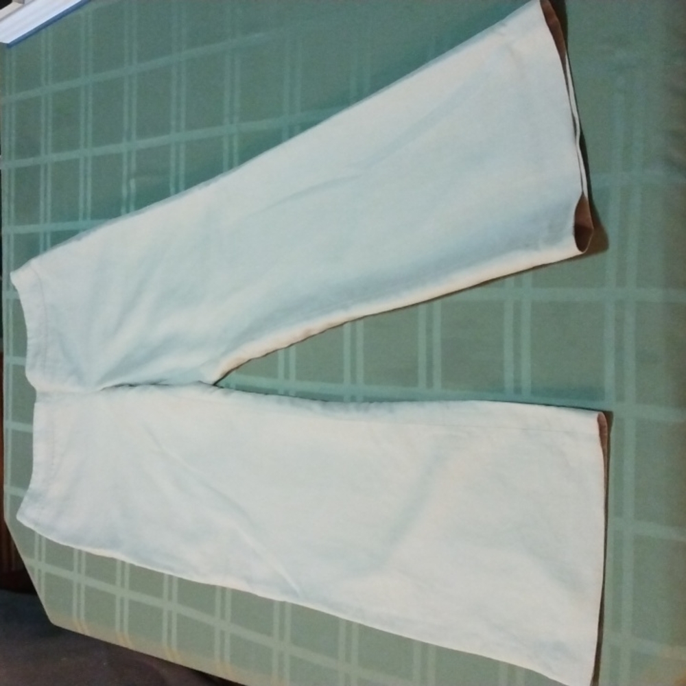 Ann Taylor slacks
